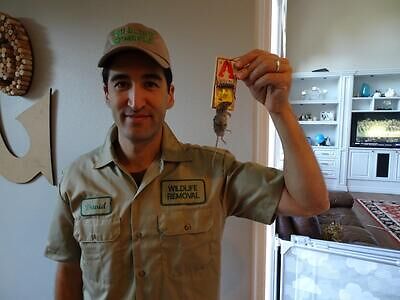 Ann Arbor pest control